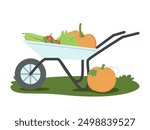 Farm harvest in wheelbarrow. Organic vegetables, natural fruits in wheel barrow. Eco garden crops, food products heap picked in agriculture cart. Flat vector illustration isolated on white background