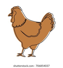 farm hen isolated icon