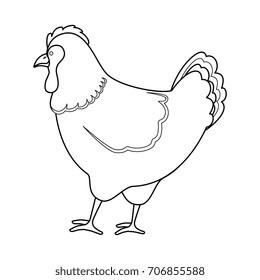 farm hen isolated icon