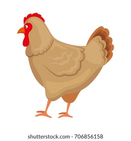 farm hen isolated icon