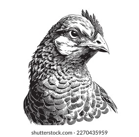 Farm hen portrait hand drawn sketch Vector illustration Farming