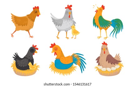 Farm Hen and Rooster with Baby Chicken Vector Illustration Set