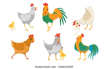 Farm Hen and Rooster with Baby Chicken Vector Illustration Set