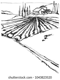 Farm Hills Drawing. Landscape sketch. Field and house.