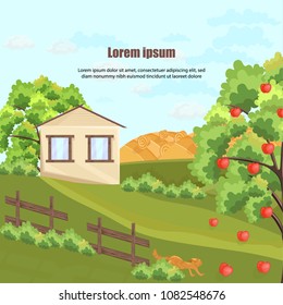 Farm house Vector. Apple tree and grass. Nature beautiful green yard backgrounds