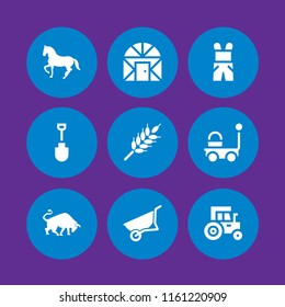 farm icon. 9 farm set with tractor, bull, wheat and horse vector icons for web and mobile app