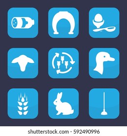 farm icon. Set of 9 filled farm icons such as wheat, harvest, goat, goose, sausage, rabbit, boiled egg, hoe