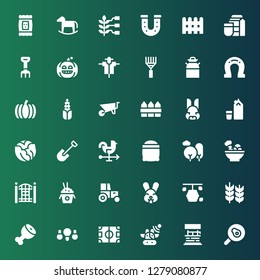 farm icon set. Collection of 36 filled farm icons included Fried egg, Water well, Cows, Field, Fried chicken, Ham leg, Wheat, Hive, Rabbit, Tractor, Rice, Fence, Salad, Nature