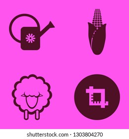 farm icon set with sheep, watering can and corn vector illustration