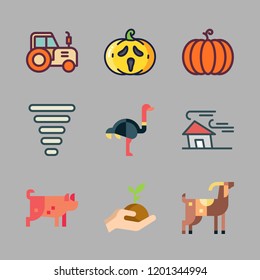 farm icon set. vector set about ostrich, wind, tractor and pumpkin icons set.