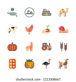 farm icon set. vector set about alpaca, sprout, eggs and goat icons set.