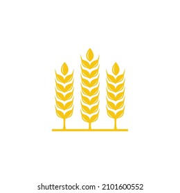 Farm icon. Wheat icon design vector illustration
