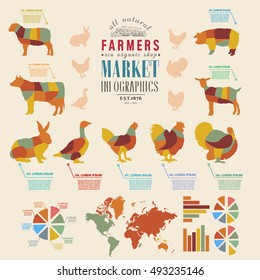 Farm infographics farm animals chickens, cows, sheep, goats, geese, turkeys design elements of livestock infographics vector illustration 