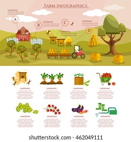 Farm infographics natural food agricultural objects vector 