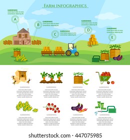 Farm infographics set natural food agricultural objects vector 