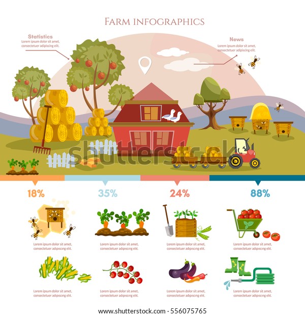 Farm Infographics Template Design Agricultural Objects Stock Vector ...