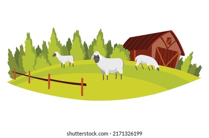 Farm landscape. Agriculture field, rural nature scene. Ruralfield panorama with shed or barn and sheep