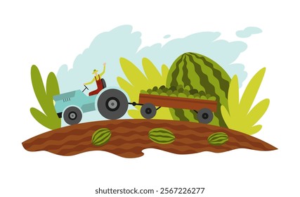 Farm landscape. Agriculture field, rural nature scene. Ruralfield panorama with working tractor growing watermelons