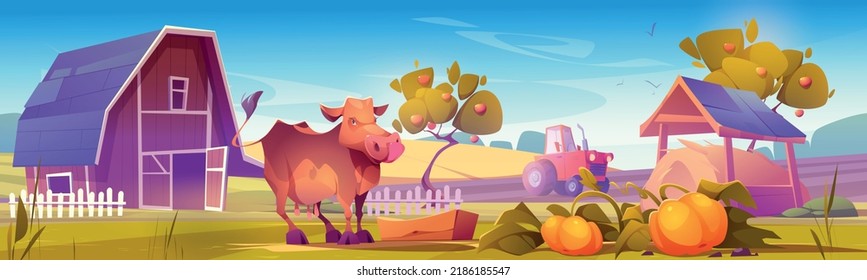 Farm landscape with cow gaze near wooden barn, tractor plow field, hay, ripe pumpkins and fruit trees in garden. Agriculture and farming countryside, village background, Cartoon vector illustration