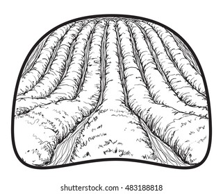 Farm landscape etch, agriculture scene