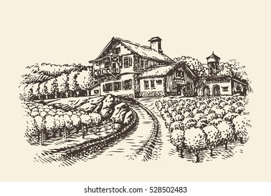 Farm landscape. Hand-drawn vineyard or agriculture. Vintage sketch vector illustration