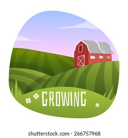 Farm Landscape . Stage in growing. Vector illustration