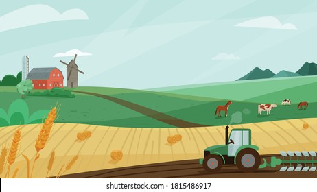 Farm landscape vector illustration with green meadow, wheat field, tractor cultivate earth. Nature summer or autumn scenery with barn, windmill. Countryside for organic production background.