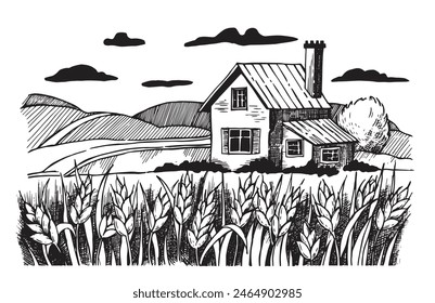 farm landscape with wheat field and house. vector drawing in sketch style