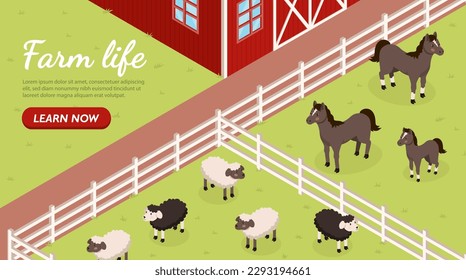 Farm life concept. Sheep and horses stand in sheds on summer or spring day and eat grass. Farming and agriculture, livestock. Landing page design. Cartoon isometric vector illustration