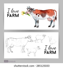 Farm life. Flyer design with cow
