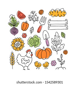 Farm living collection. Linear graphic. Chicken, vegetables and harvest tools. Scandinavian style. Vector illustration