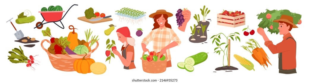 Farm local eco production and farming equipment set vector illustration. Cartoon young happy male and female farmers work in garden, grow vegetables and fruit isolated on white. Harvest, food concept