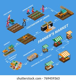 Composición de diagrama de flujo isométrico del mercado local de la granja con imágenes aisladas que representan diferentes etapas de producción vegetal y ilustración vectorial de ventas