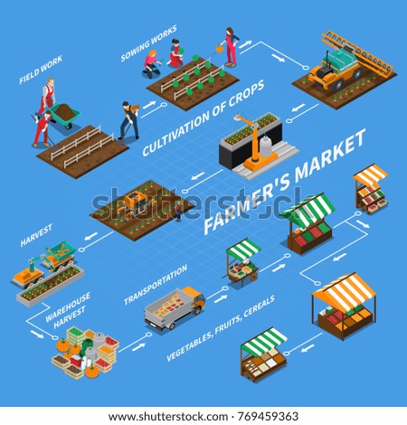 Farm local market isometric flowchart composition with isolated images representing different stages of vegetable production and sales vector illustration