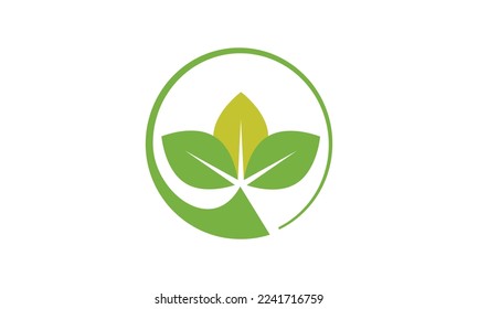 Farm logo design agriculture logo design vector image