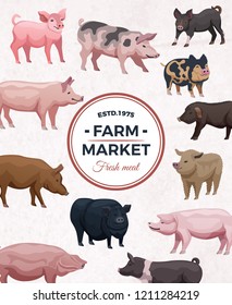 Farm market advertising poster with round frame and various pigs on light background vector illustration