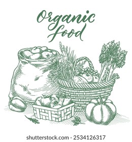 Farm market and organic food products. Vector hand drawn sketch illustration of fresh vegetables. Package label, badge, poster, banner or sticker design elements