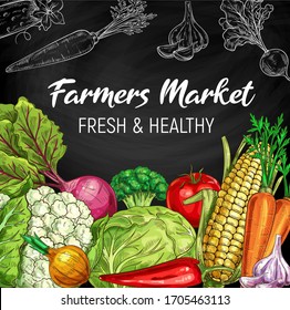 Farm market vegetables, chalkboard vector sketch. Vegetarian salads and vegan organic food, cauliflower and broccoli, cabbage, corn and pepper, tomato, beet and corn, garlic and carrot