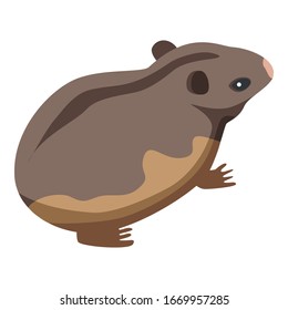 Farm mice icon. Isometric of farm mice vector icon for web design isolated on white background
