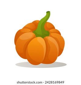 Farm object of colorful set. This image expertly combines detailed design elements with a playful cartoon style to depict a bountiful harvest scene, featuring vibrant pumpkin. Vector illustration.
