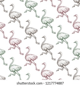 Farm ostrich gradient seamless pattern. Running emu bird hand drawn background. African feathered ostrich realistic texture. Wild animal drawing. Wallpaper design. Isolated vector illustration