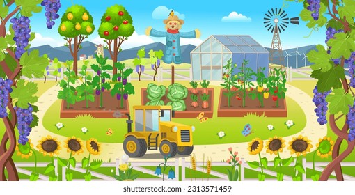 Farm panorama with garden with vegetables on the beds,
 mills, fields, trees, vineyard and tractor, windmill, scarecrow. Big scene for kids.Vector illustration in cartoon style.  