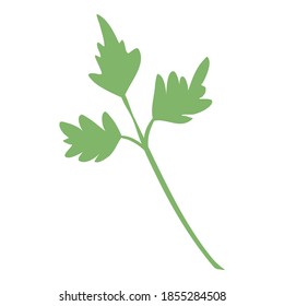 Farm parsley icon. Cartoon and flat of farm parsley vector icon for web design isolated on white background