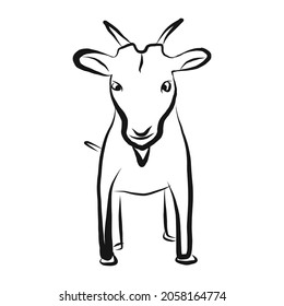 Farm pet goat sketch drawn by hand, cattle, milk and goat meat, one farm horned animal on a white background, vector illustration livestock, farm animal, sketch icon