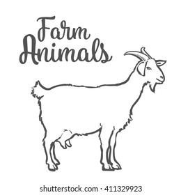 Farm pet goat sketch drawn by hand, cattle, milk and goat meat, one farm horned animal on a white background, vector illustration livestock, farm animal, sketch icon