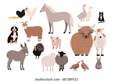 Farm pets colorful collection. Cute domestic animals set. Hand drawn vector illustration on white background.