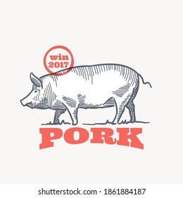 Farm pig emblem in classic elegance engraving style. Vector drawing for food corporate identity, agriculture illustration, restaurant logo, and etc. 