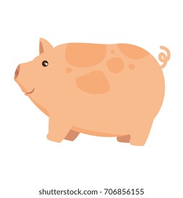 farm pig isolated icon
