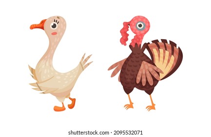 Farm poultry breeding. Goose and turkey set cartoon vector illustration