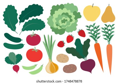 Farm produce set. Isolated vector illustrations of local fruits and vegetables.